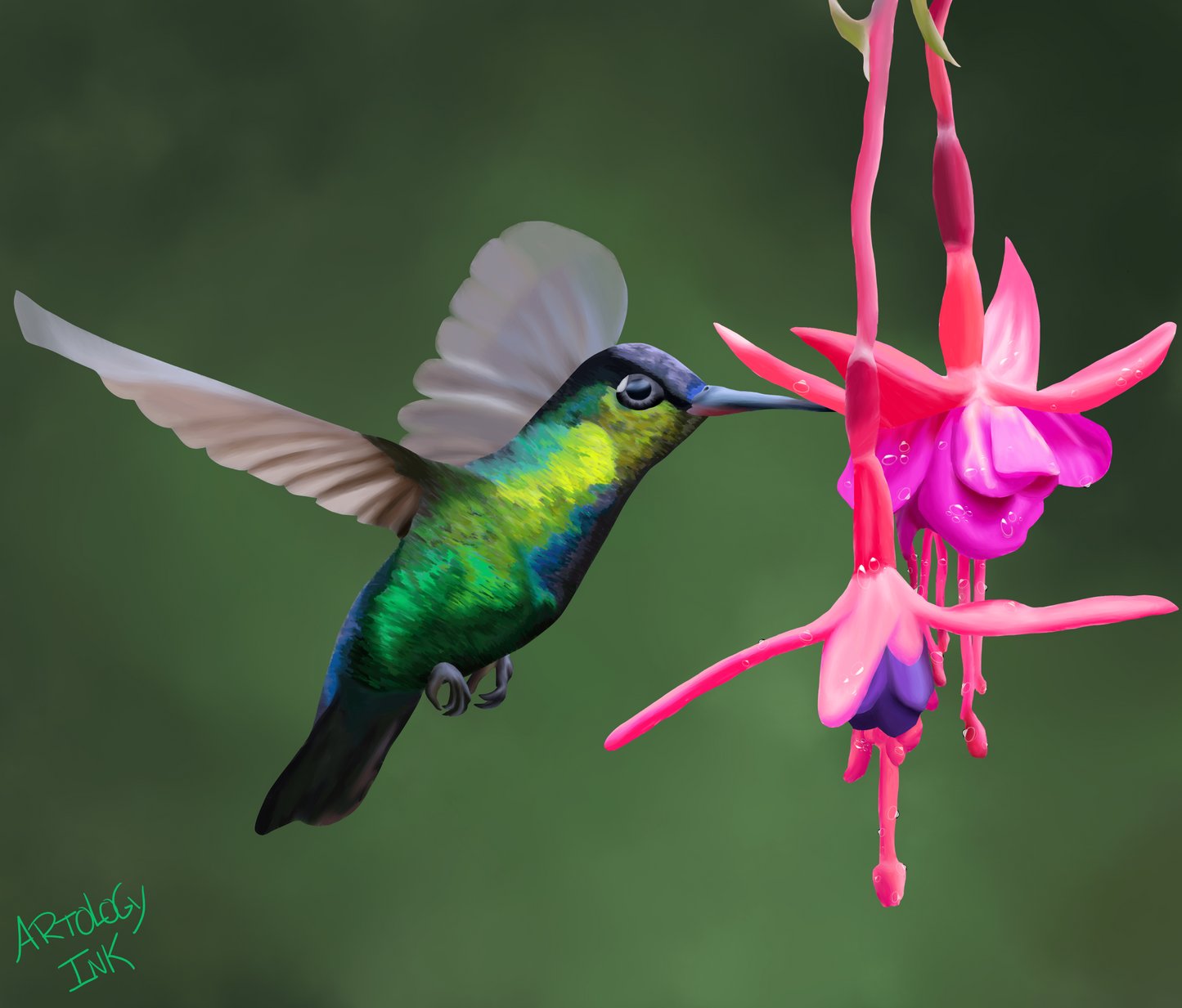 Hummingbird Print