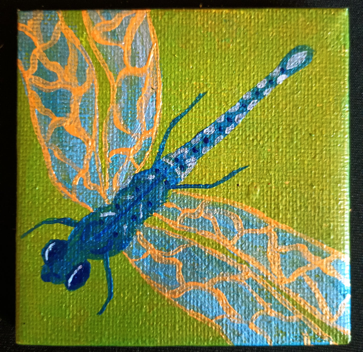 Dragonfly Mini Canvas