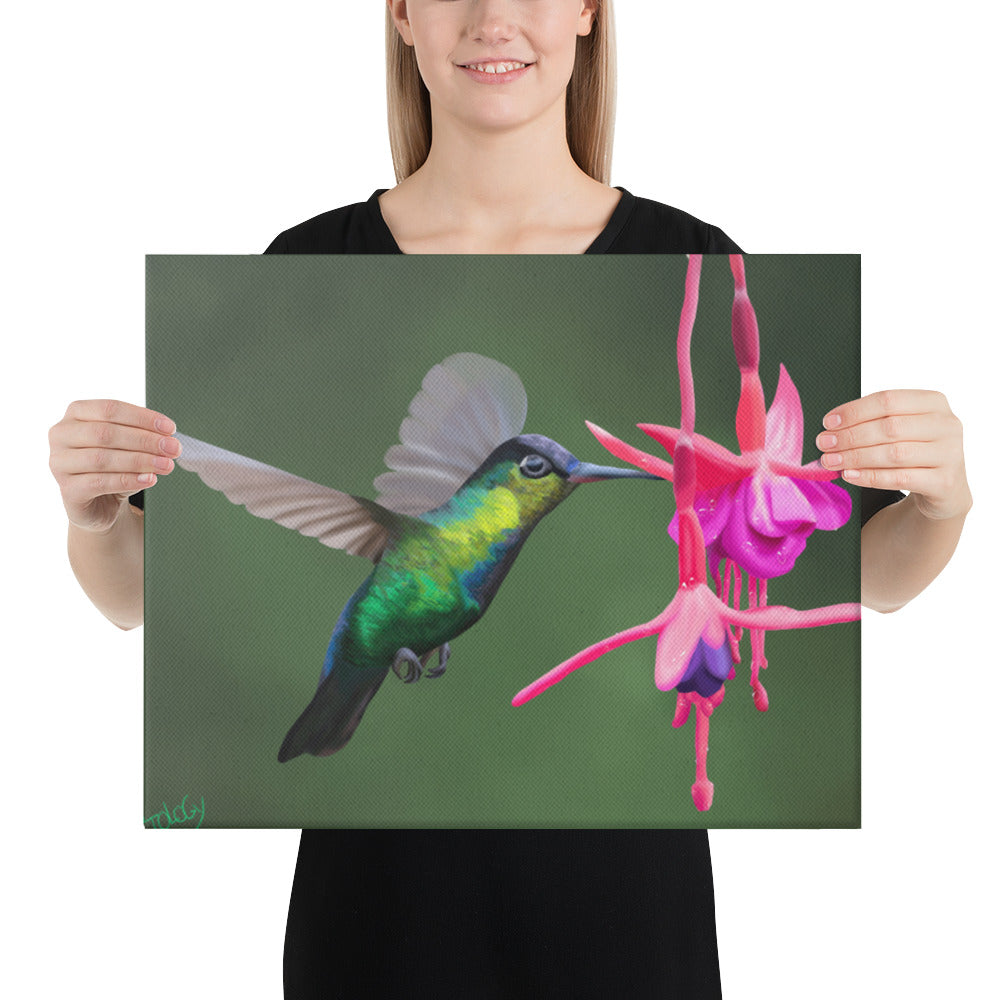 Hummingbird Canvas