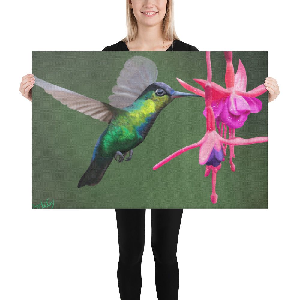 Hummingbird Canvas